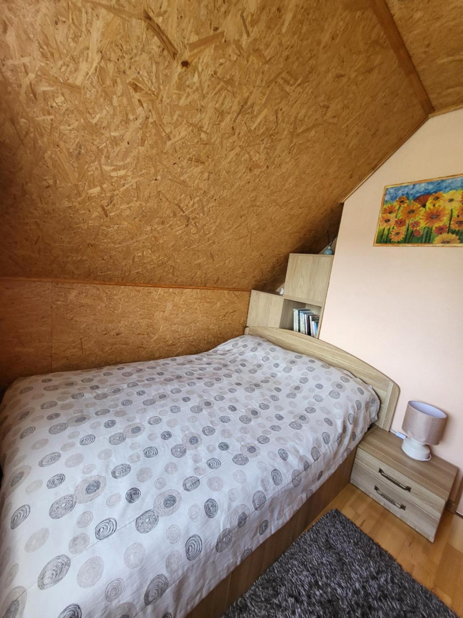 Namelis Rugile Apartment Druskininkai Ngoại thất bức ảnh