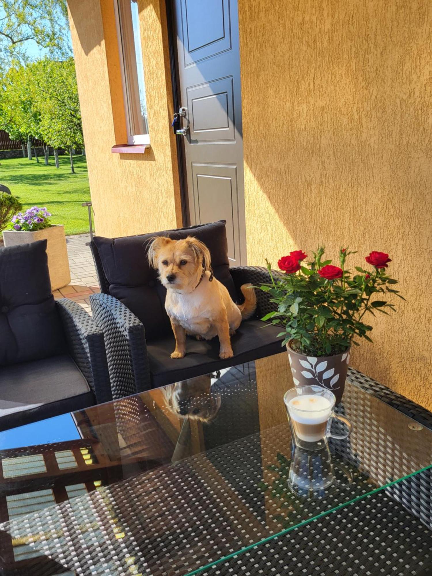 Namelis Rugile Apartment Druskininkai Ngoại thất bức ảnh